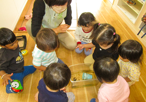 園の1日の写真