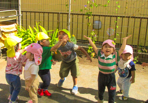 園の1日の写真