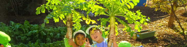 ちぐさ幼稚園の保育内容4