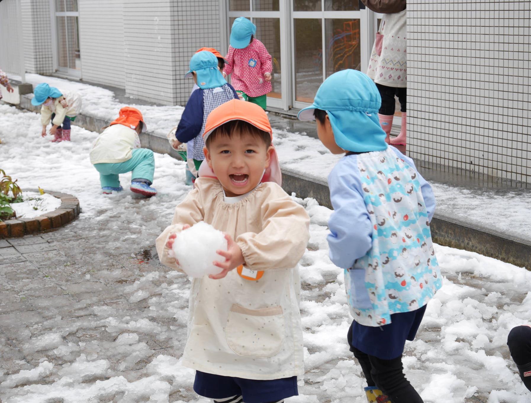 1月の写真