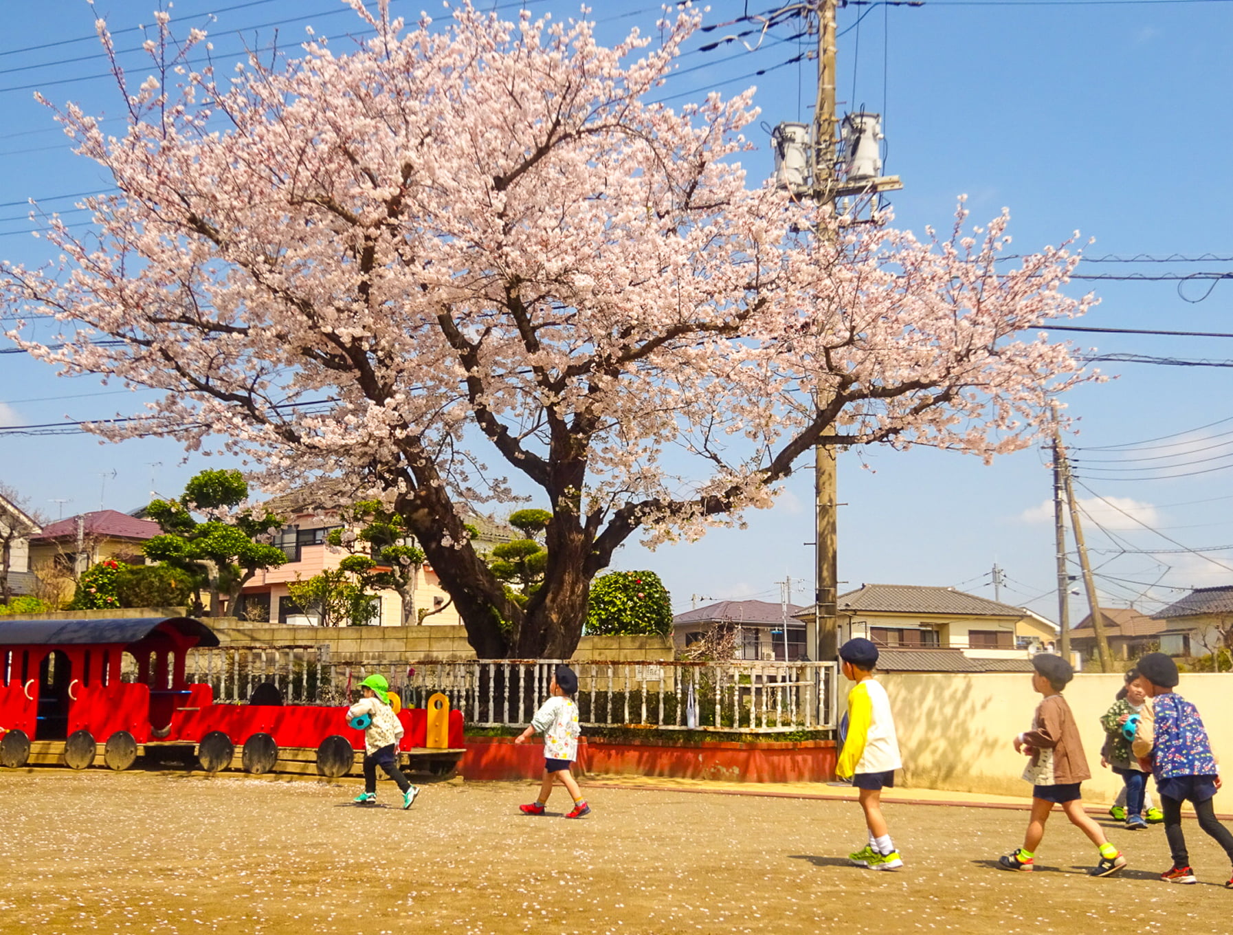 4月の写真