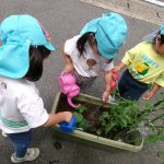 112_2943